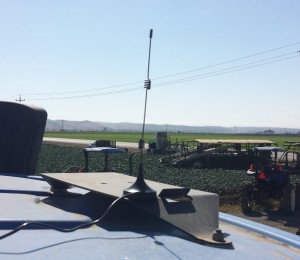 Antenna on T9
