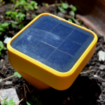 in_garden_2_small